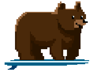 surf bear